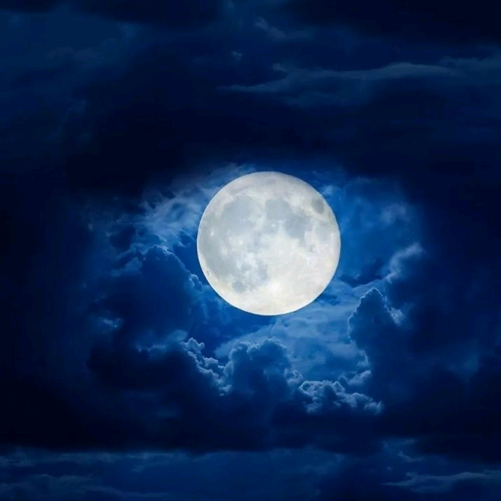 GECE MAVİSİ gece_mavisi_042