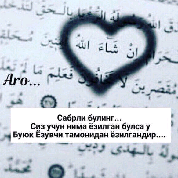 хадичабегим595 xadichabeginm