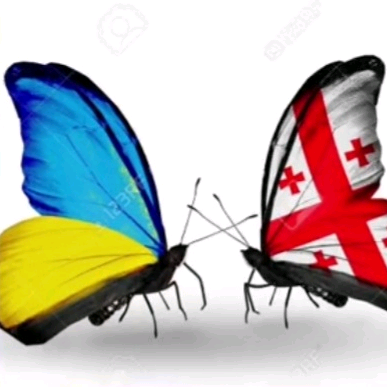 ლიზილიზი blackfing142