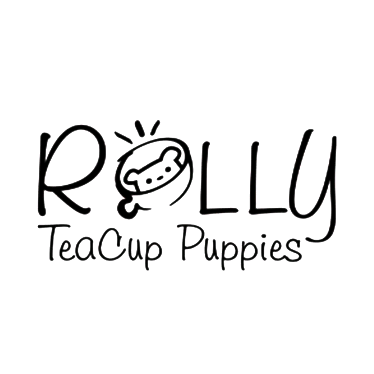 ROLLY TEACUP PUPPIES rollypups.official