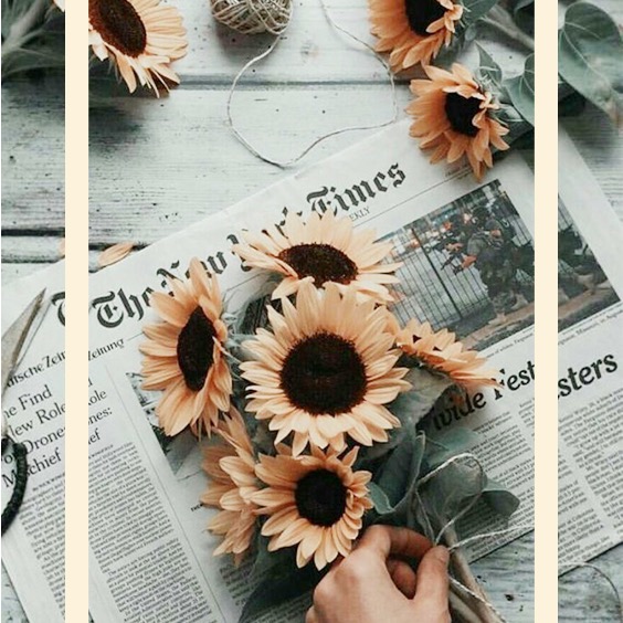 Random.aesthetic_peeps fidget_trading6036