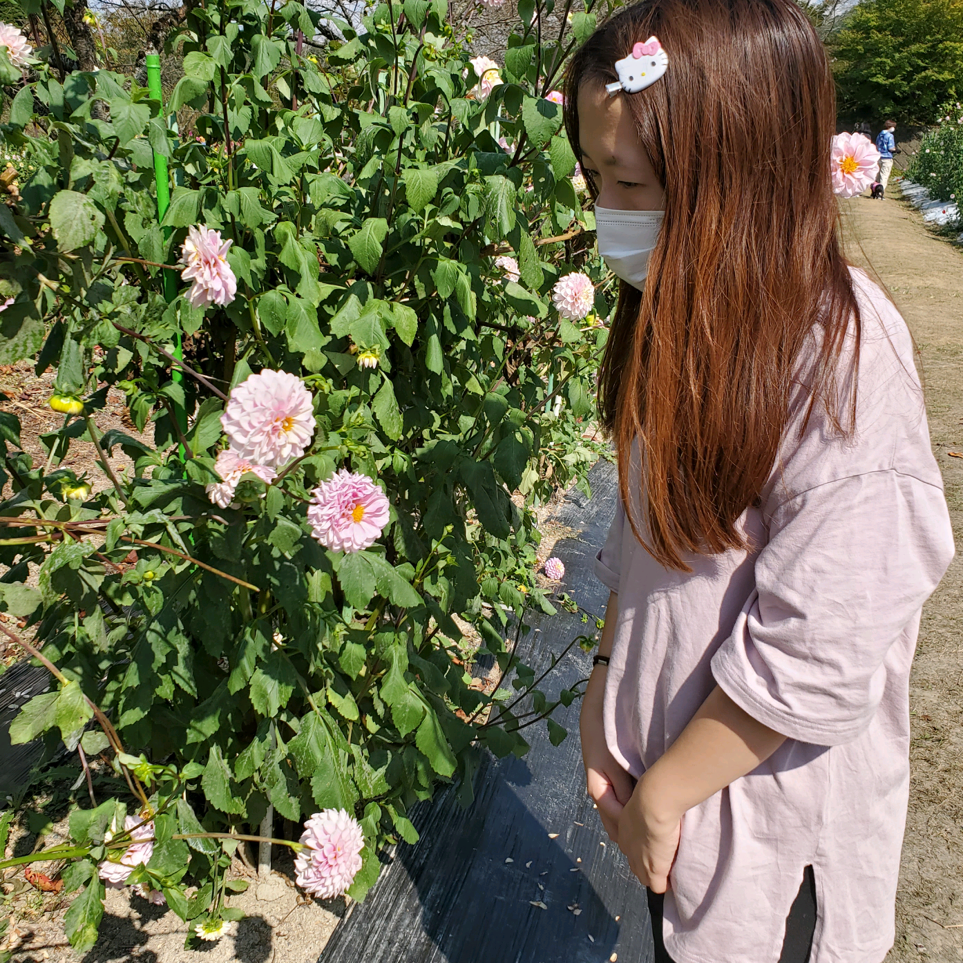 まーくん m08526452