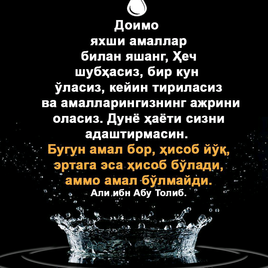 User990605 ali.ikromjonovich_03