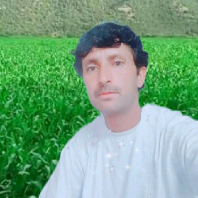 israrisrar013 israrisrar013