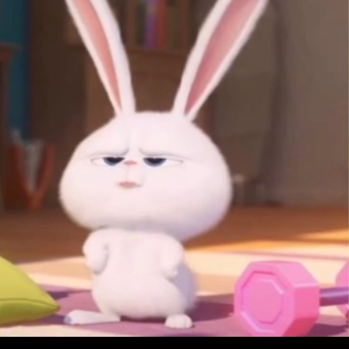 아루 hocyidyi