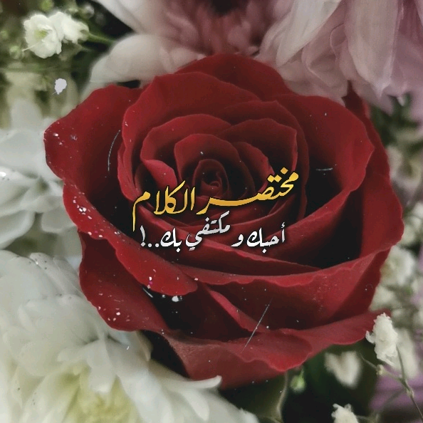 . الحمدلله الذيّ نظُن به خيراً joo22ooj