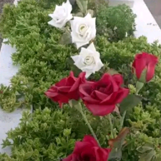 06nazlim melek oldu nazlim_06guzelim