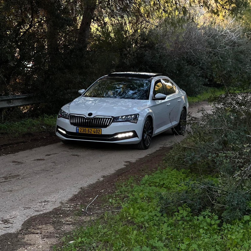 אנונימי, דוד ameeralz1