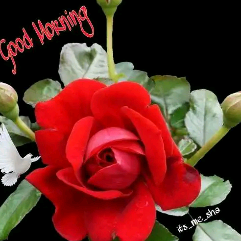 Rampukar Yadav rampukaryadav007