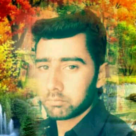 WAJID  MALIK wajadkashmiree