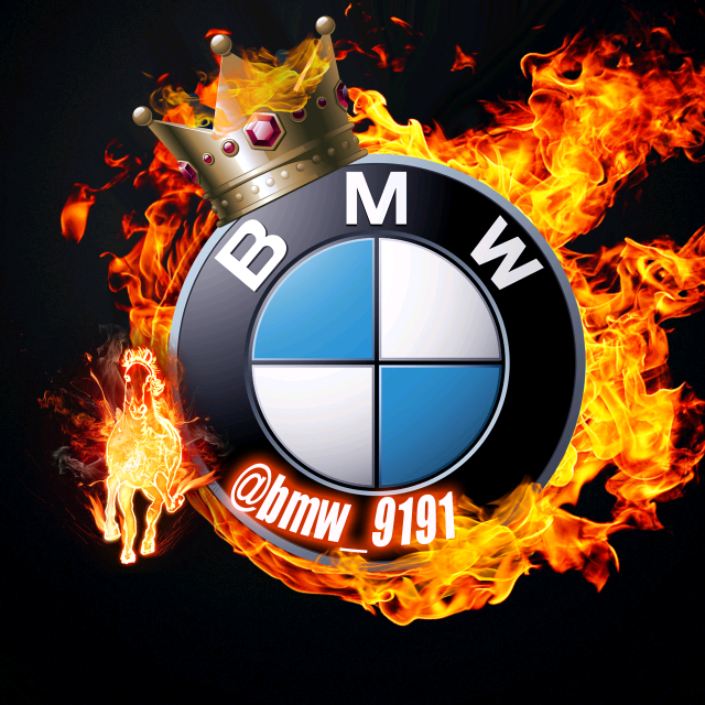 BMW_9191 bmw_9191
