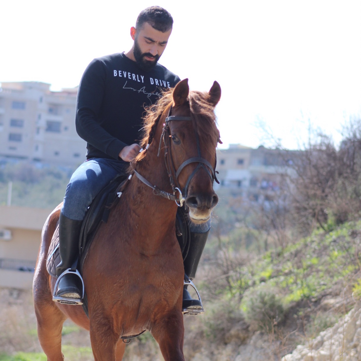 Ahmad Al Kheir287 nizhorse