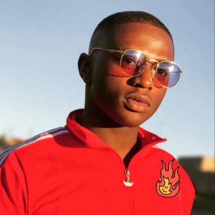 TAFIRE tafire_deli