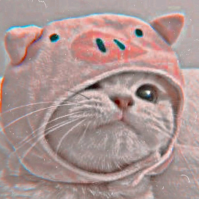 тот самый роблоксер🌺 lll._.cy4ka._.lll