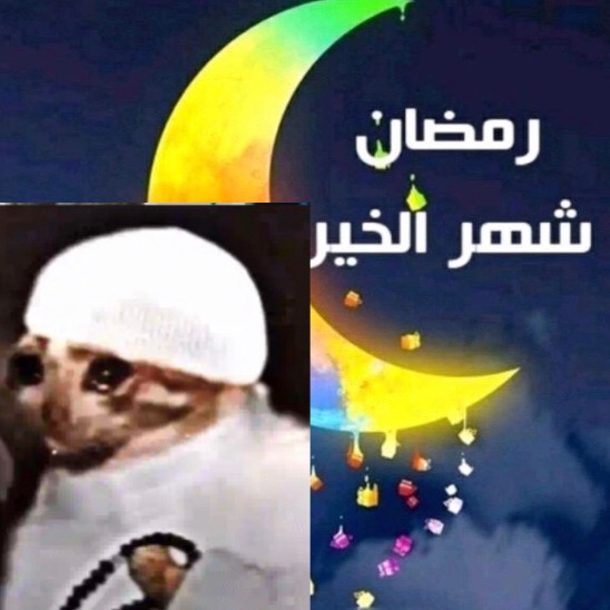 َ b.a.d_c.a.t