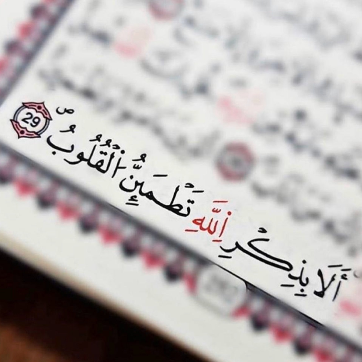 ضي القمر user97188605