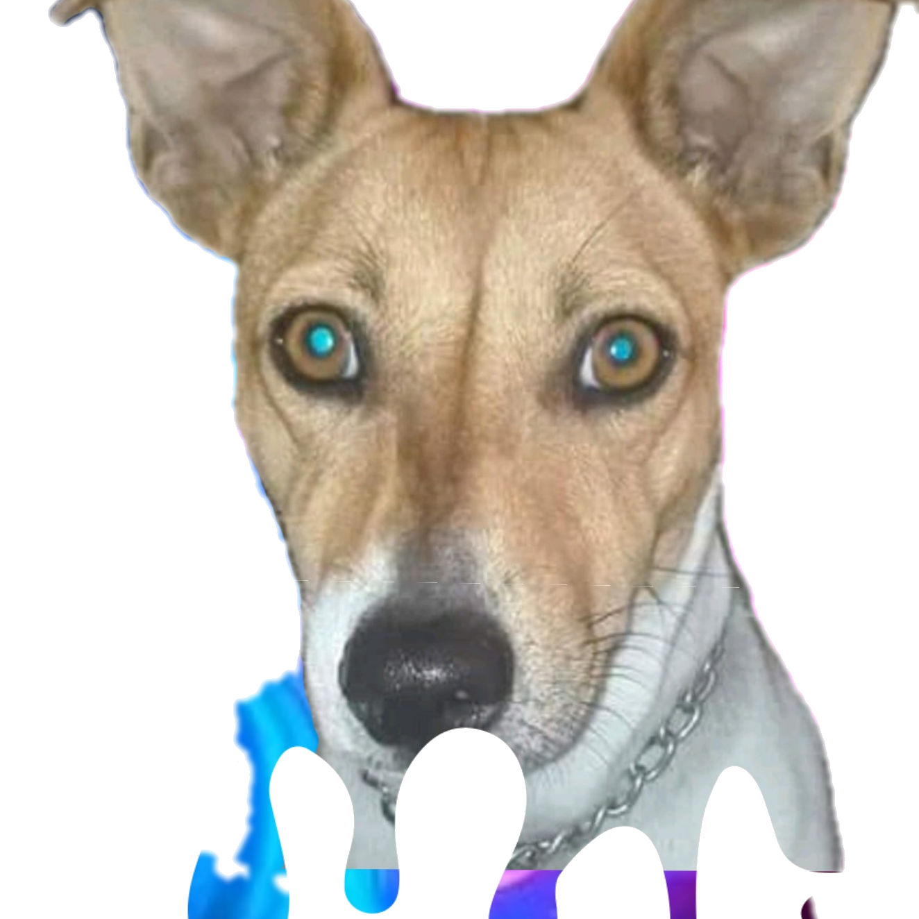 Izzykruger0_Main izzykruger0_main
