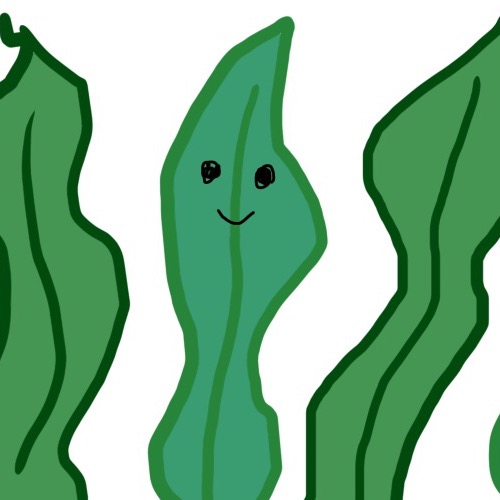 わかﾒ wakame_n