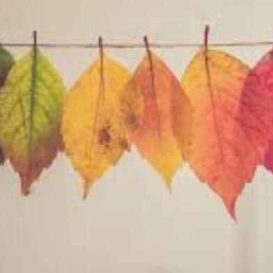 Hello <3 transition.creations