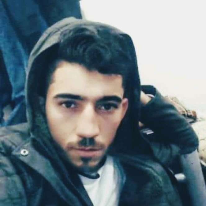 بلبل amar9510