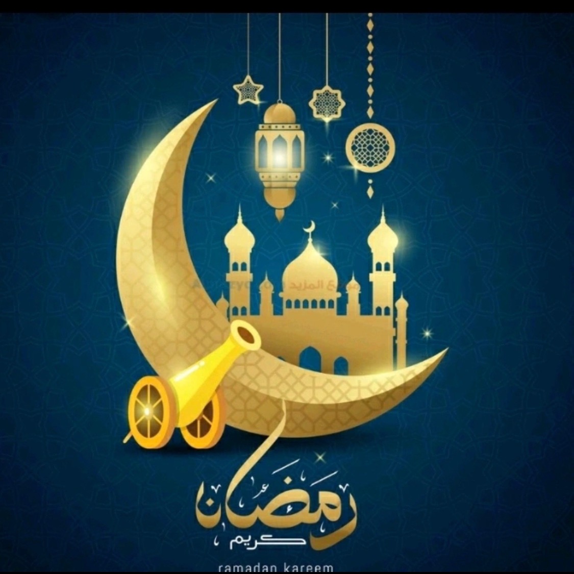 الفريدي .xi290a