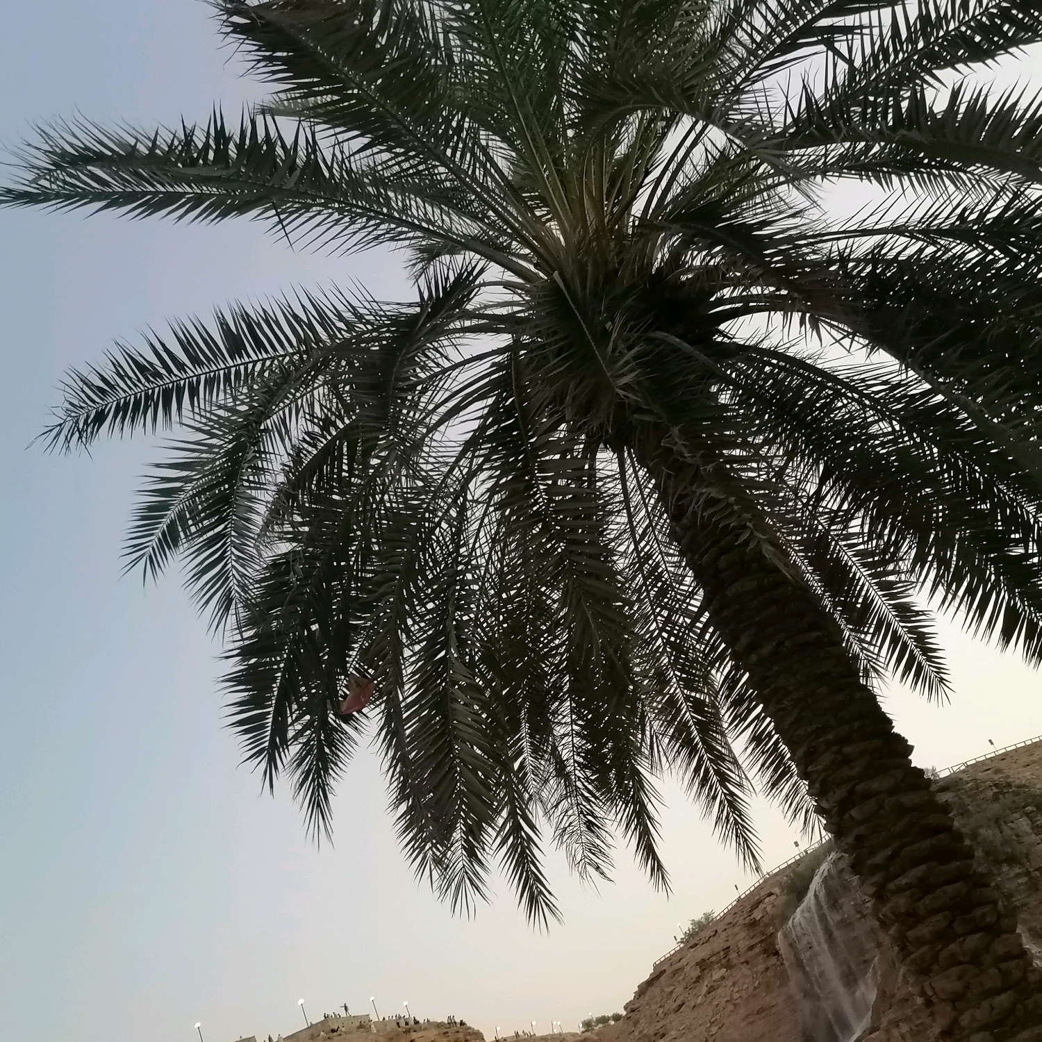 محمد احمد ma11190