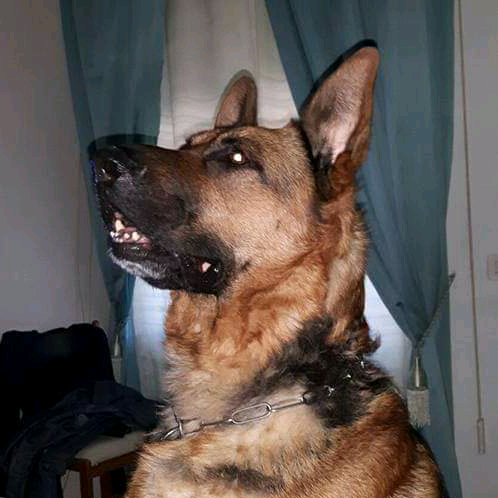 Annamaria Margherito annamariamirkomargherito