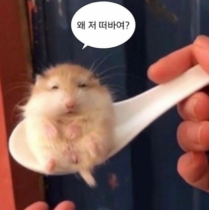 응애 cocky303