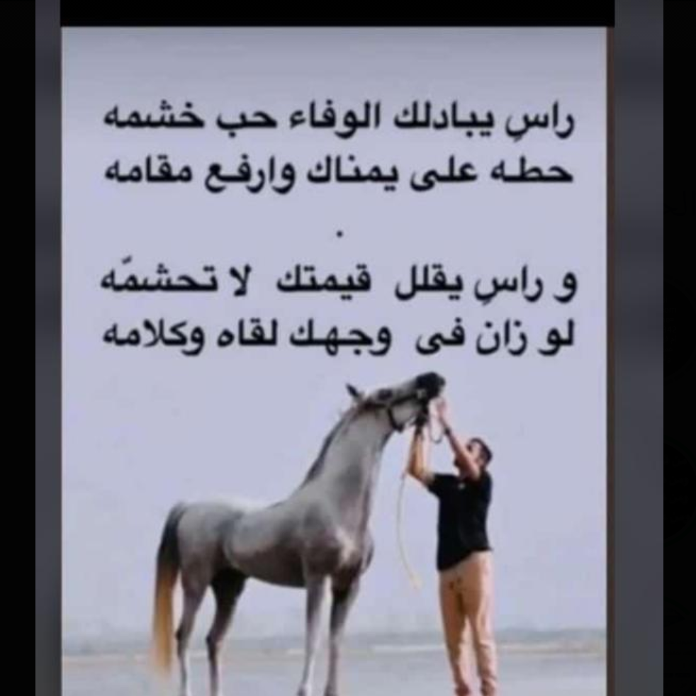 النزلي .💎 user736776363
