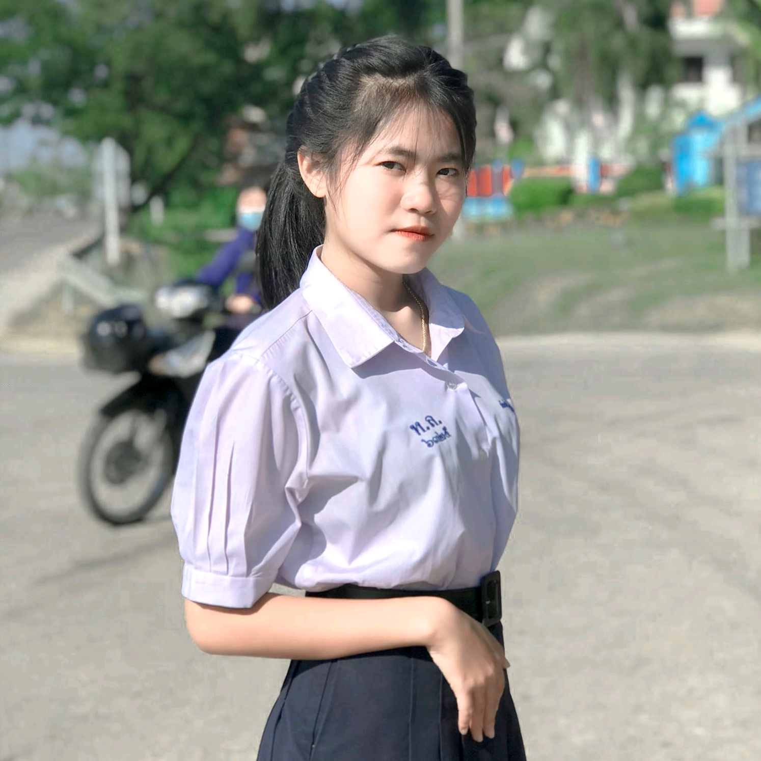 BAI_FAERN bai_fern.8
