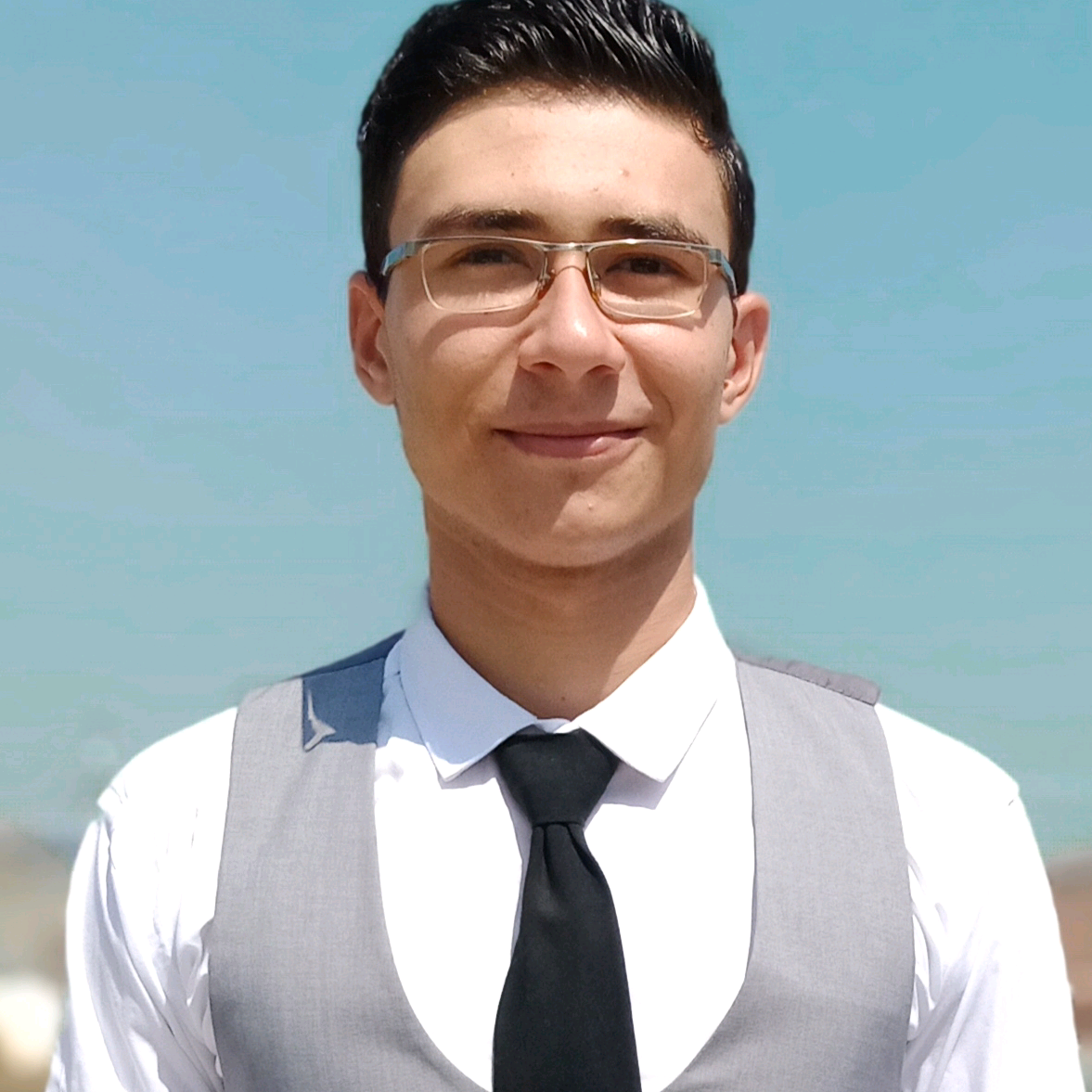 Hisham Abbas etshaia