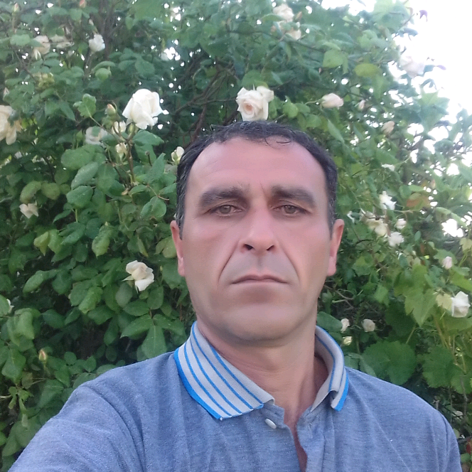 M memmedov_1978