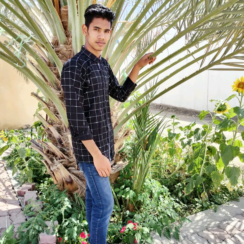 Md Mostafa mdmostafa5474
