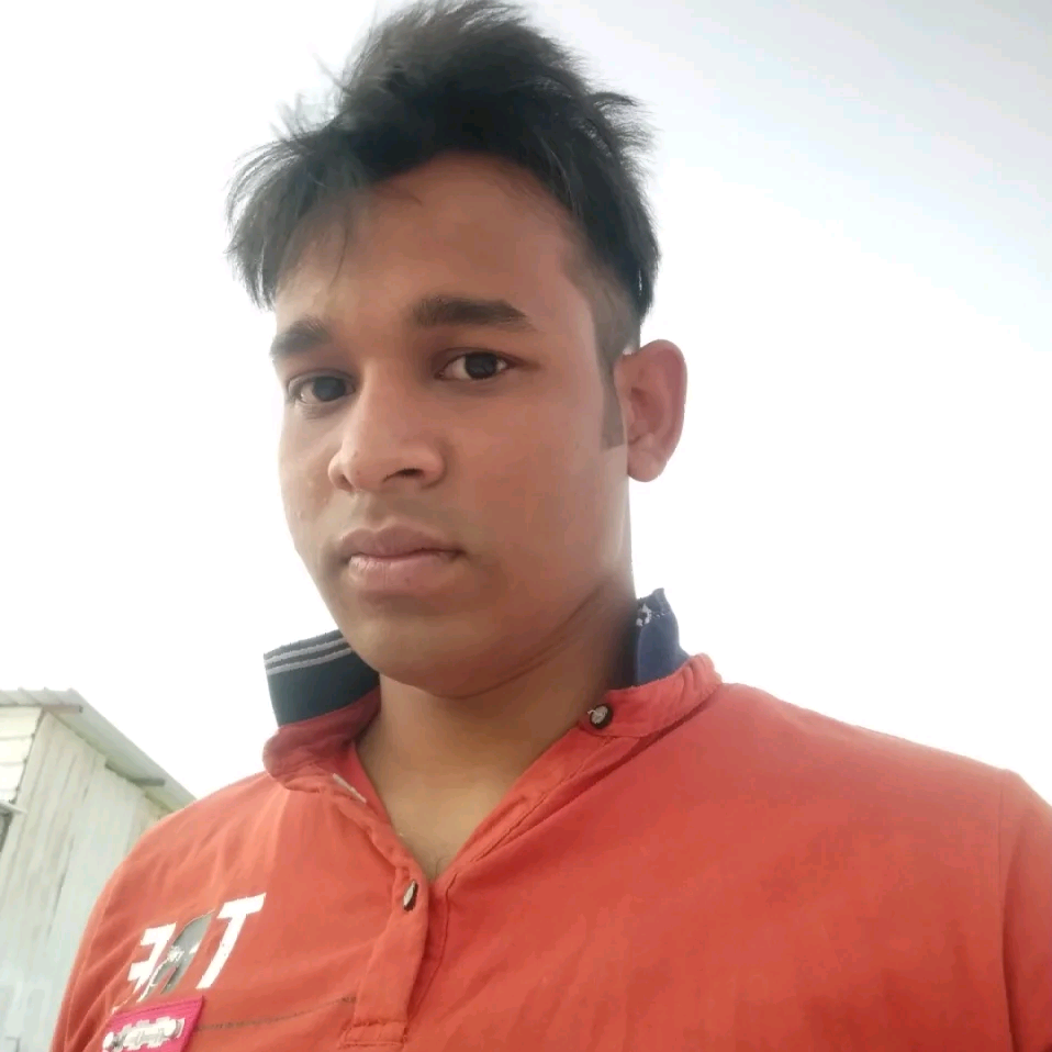 AF Rajon487 afrajon2