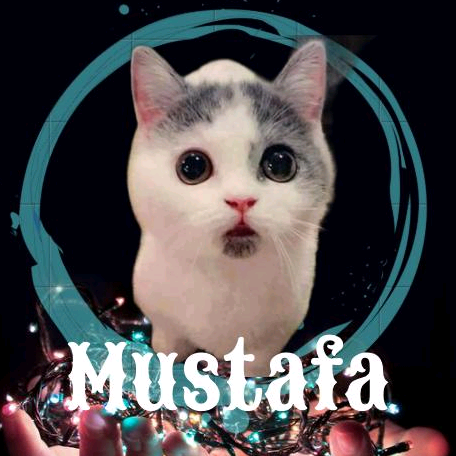 gel  bili  bili 1 mustafa..gelbilibili