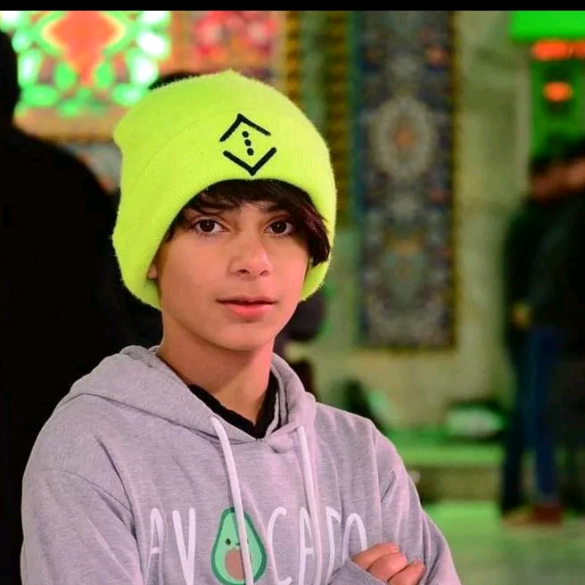 ضياء طيارة vldf8