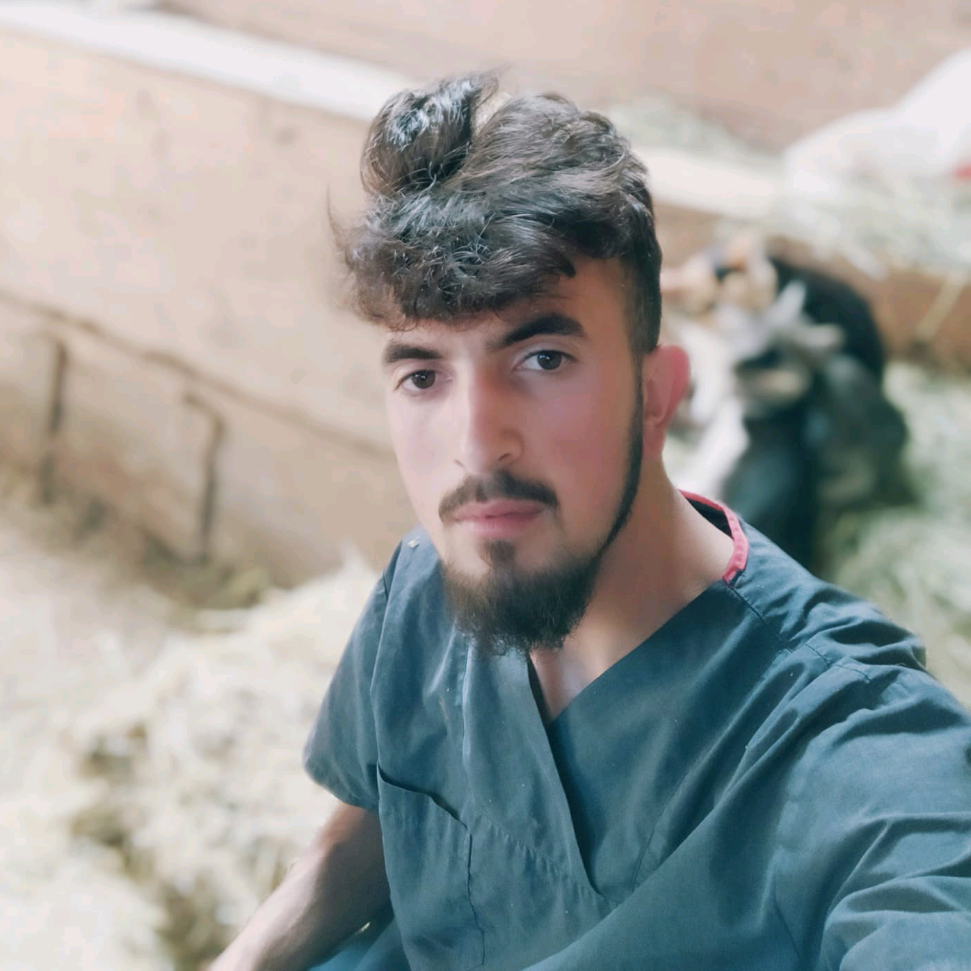 💉🐄💉🐄💉🐄💉🐾🍁🌱 kaya_ozgur.37