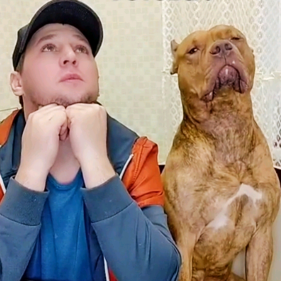 Михаил и Тайсон mikhail.taison