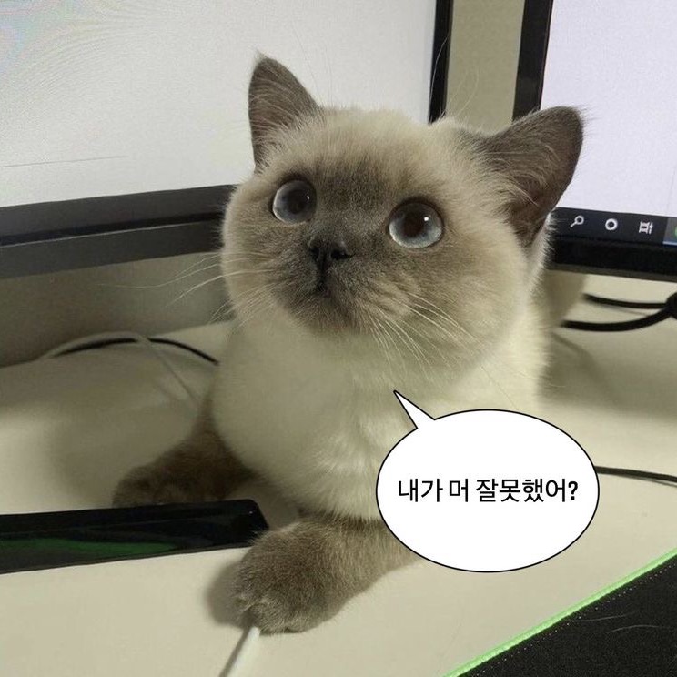 윤서 hh._.06