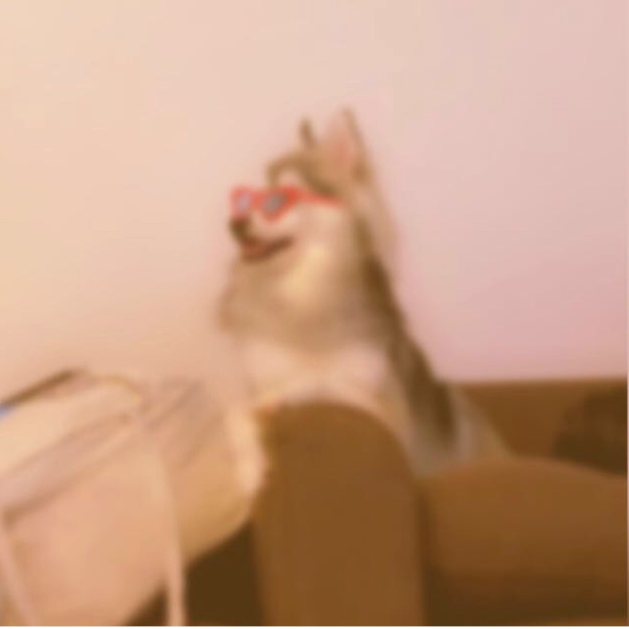 @koxcr koxcr
