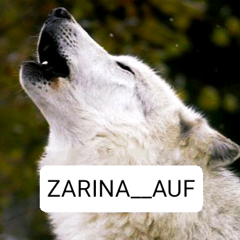 ZARINA _auf user_198785