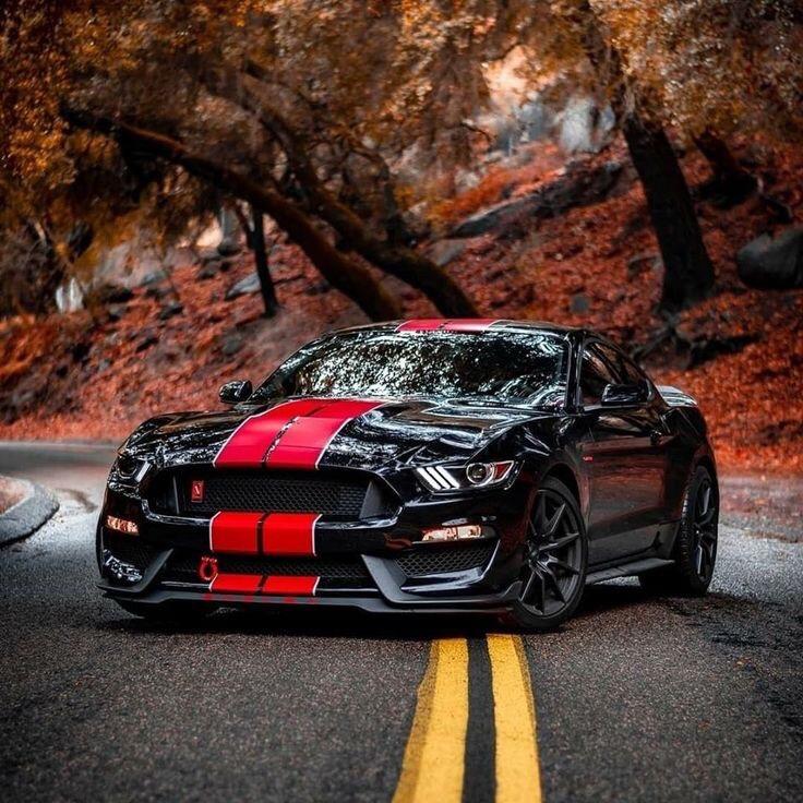 Bonjour 🤡👁👄👁 car_763