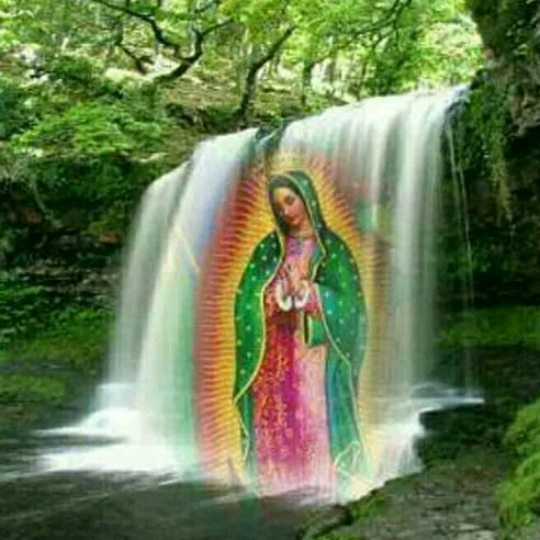 @አለም🇪🇹 Ethiopian chefjameelaallenqawi1