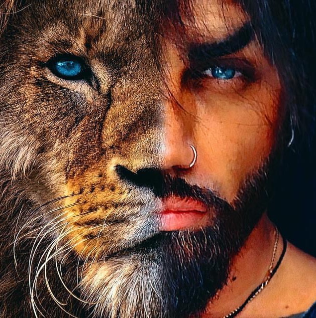 🦁 Львиный Прайд 🐯 ctapoe