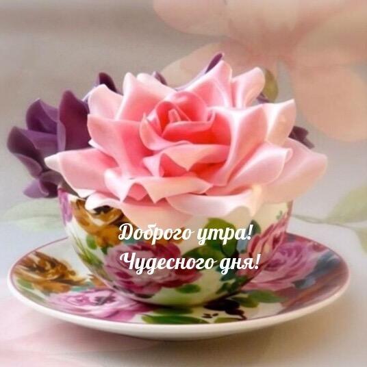 Людмила ludmila_vasileva