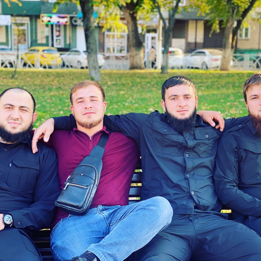 _lion_8676 _lion_8676
