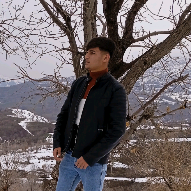 Zanyar-Ganji zanyar_ganji
