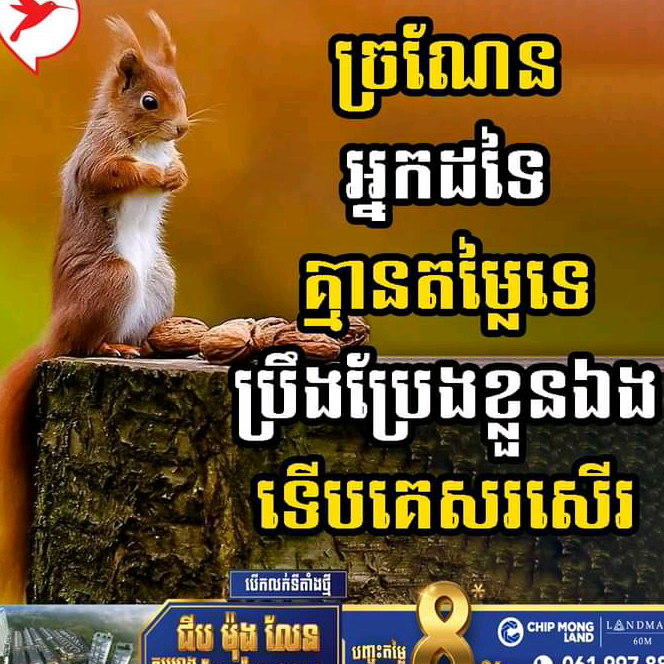 មេរៀន ជីវិត user12607782