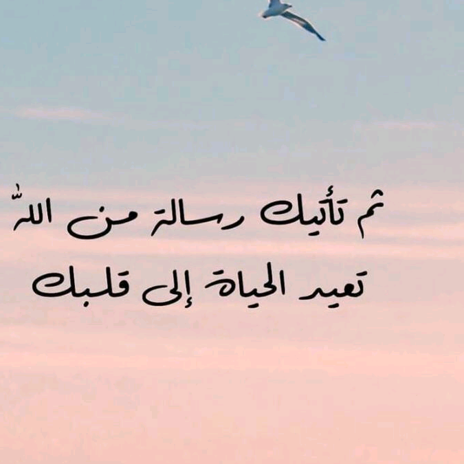 قرار الواقدي qrar44