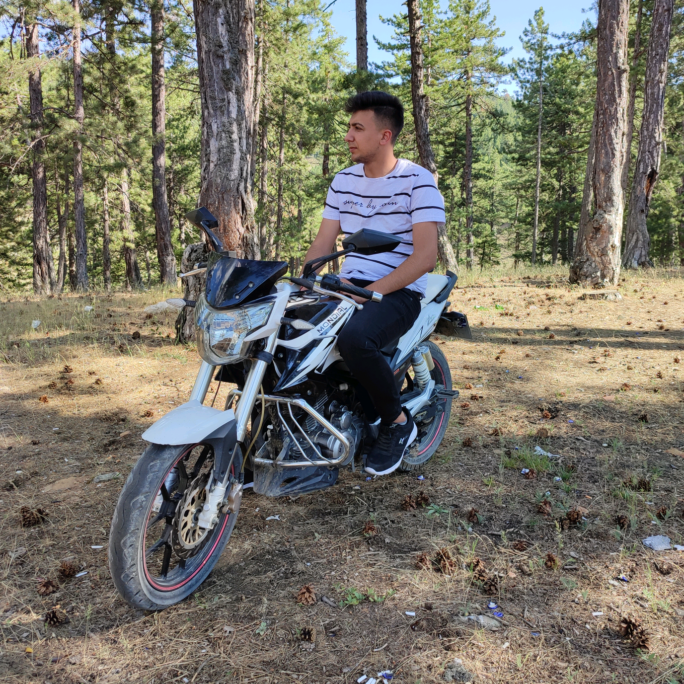 Alone Wolf_0175 akif_0175